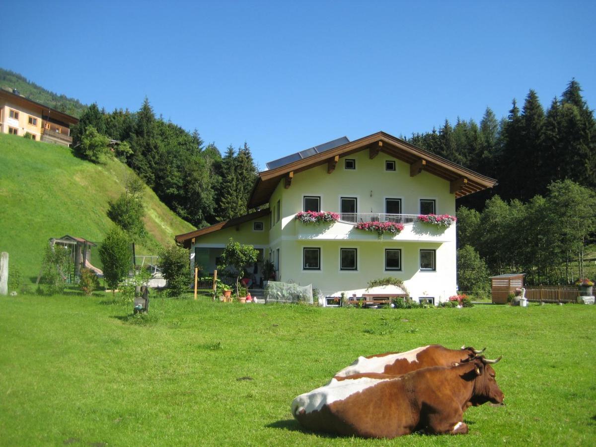 Appartement Ronacher Mittersill Exterior foto